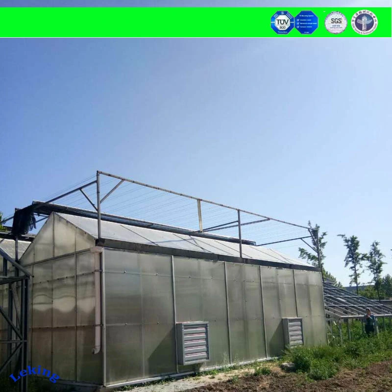 Polycarbonate Greenhouse Sheet/Polycarbonate Sheet Greenhouse/Polycarbonate Hollow Sheet Greenhouse Manufacturer