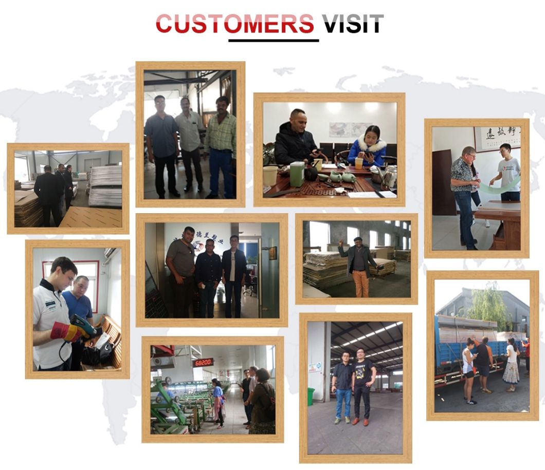 PP Corrugated Plastic Corflute Sheets Wholesale Coroplast