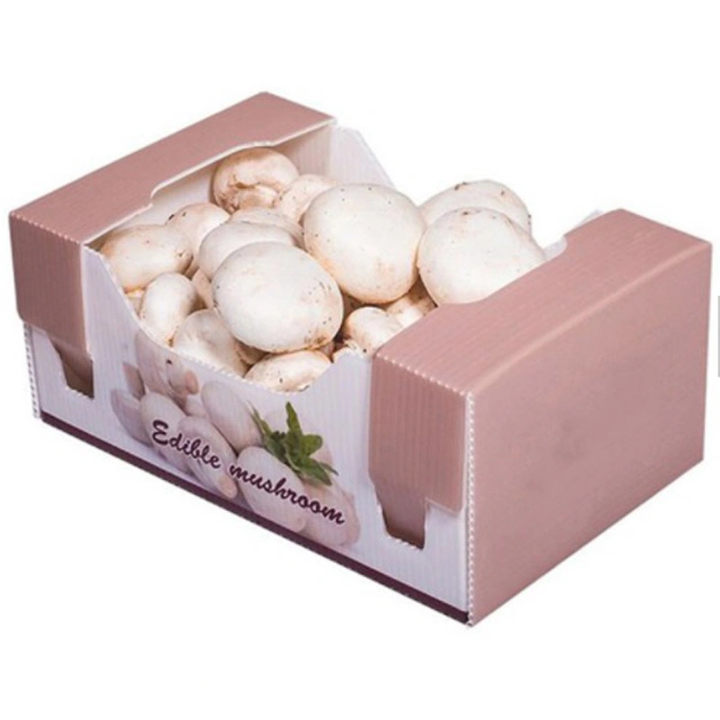 Custom Foldable PP Corflute Plastic Corrugated Box Packaging Corrugated