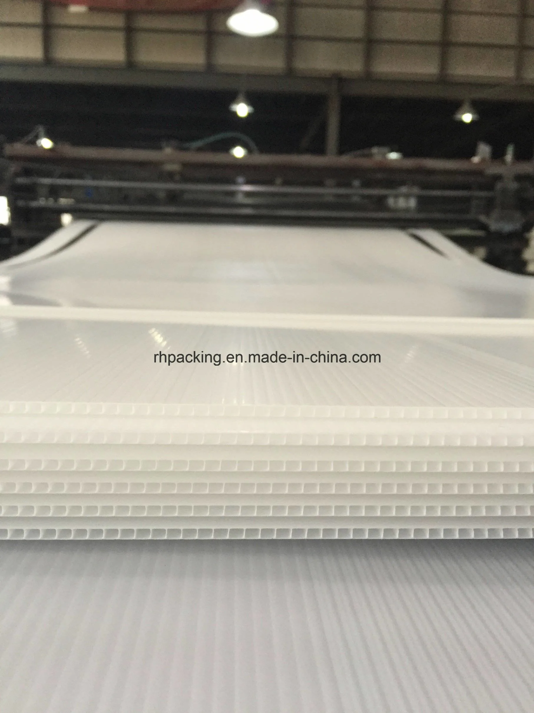 White and Black Corrugated PP Sheet/Flute Sheet/Corrugated Plastic Sheet Manufacturer for Protection and Signage