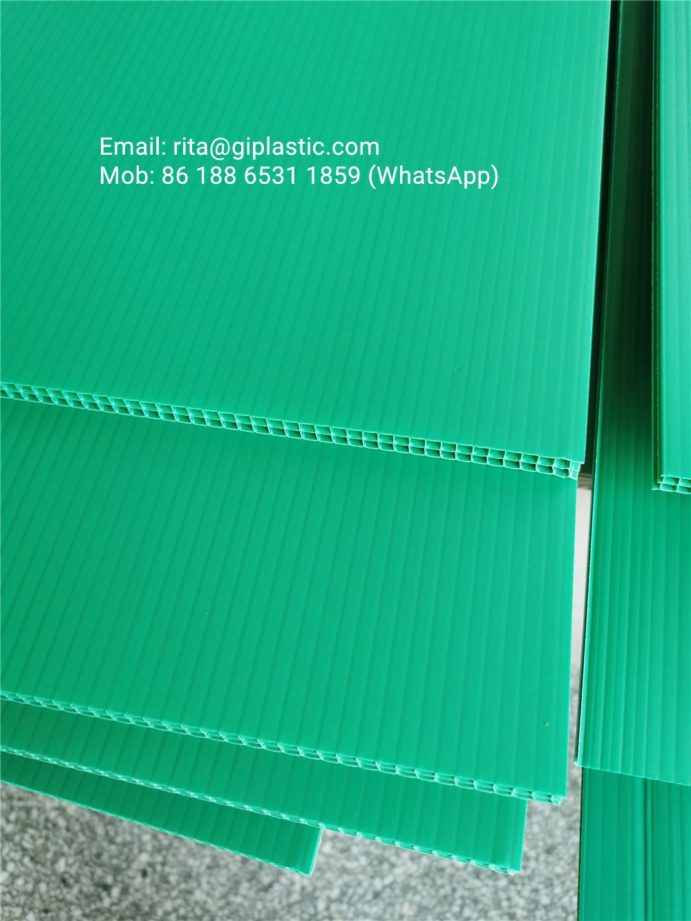 PP plastic sheet corrugated sheet for plastic packaging box