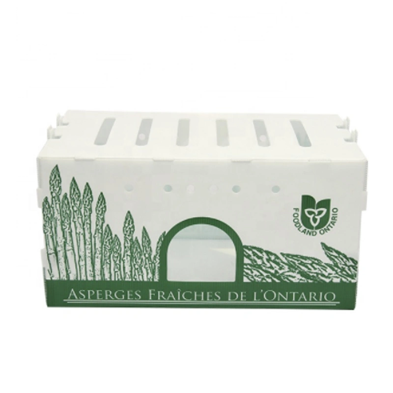 Custom Foldable PP Corflute Plastic Corrugated Box Packaging Corrugated