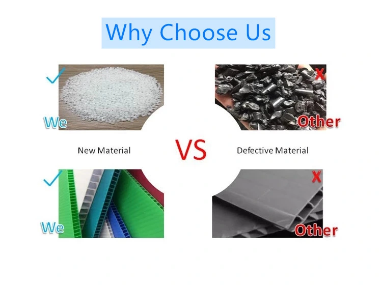 Factory Direct Polypropylene Correx Hollow Corrugated Plastic Display PP Sheet