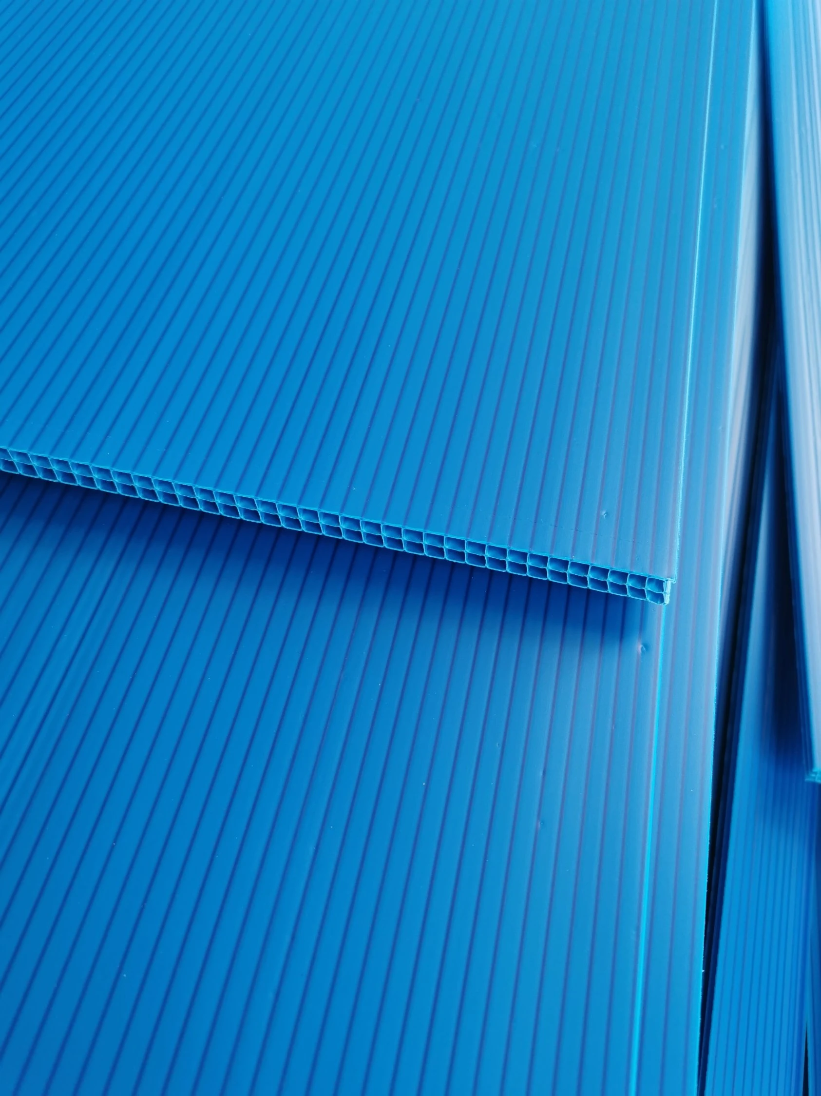 PP Corrugated Plastic Corflute Sheet Wholesale Coroplast