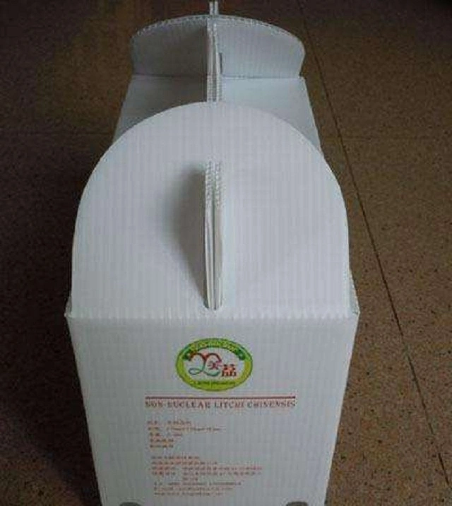Hollow structure carton plastic PP 3mm corrugated plastic sheet