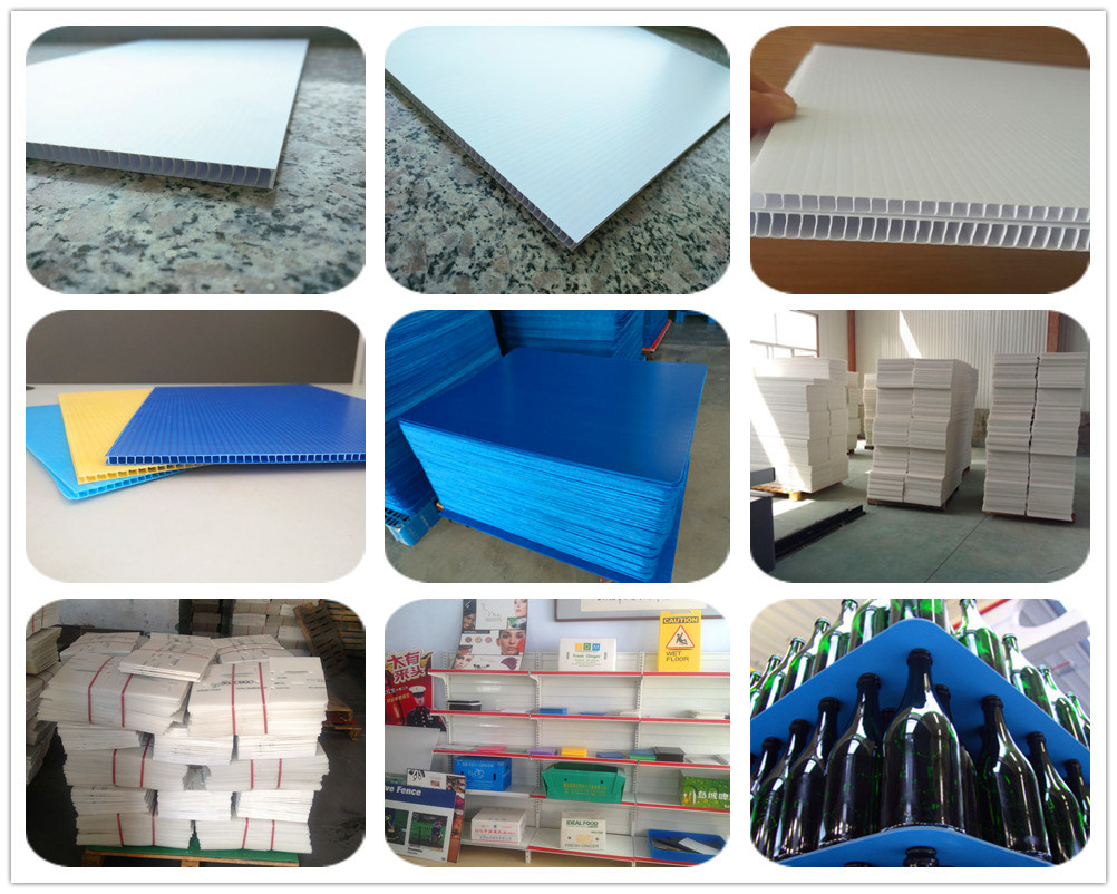 Polypropylene Coroplast Corrugated Plastic Sheet