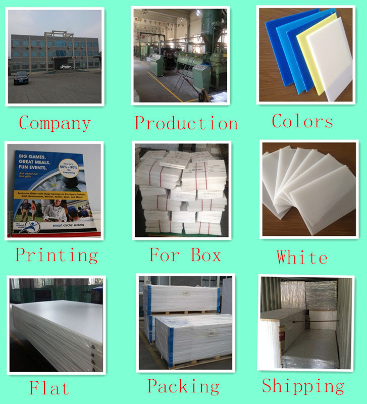 PP Corrugated Plastic Corflute Sheets Wholesale Coroplast
