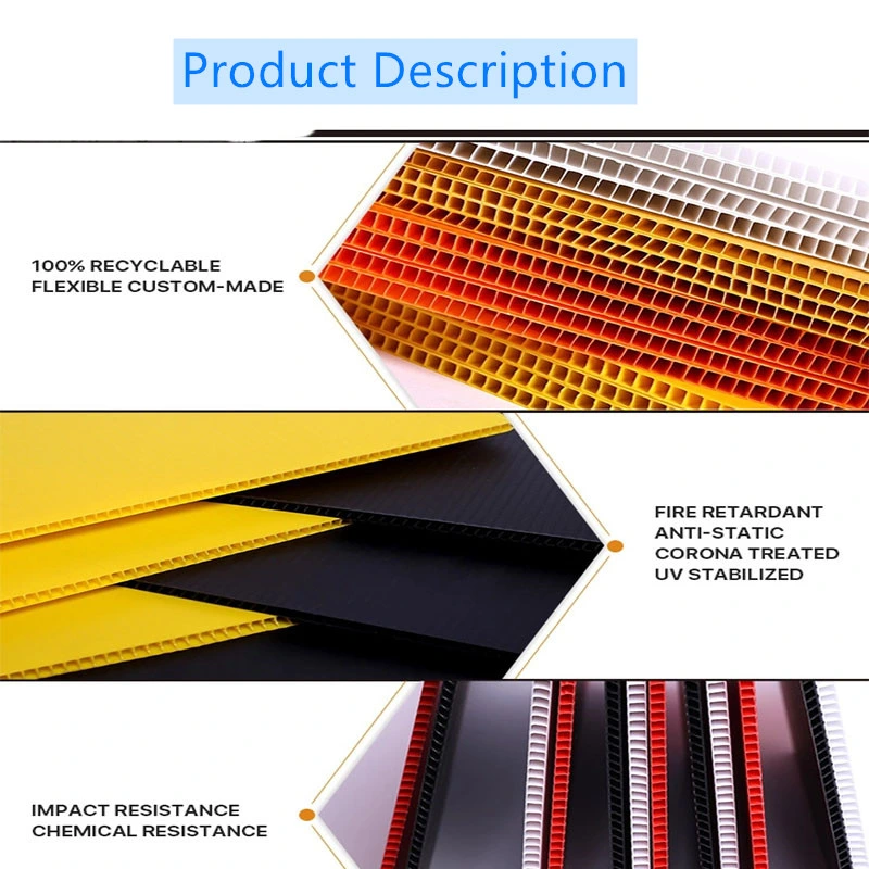 Factory Direct Polypropylene Correx Hollow Corrugated Plastic Display PP Sheet