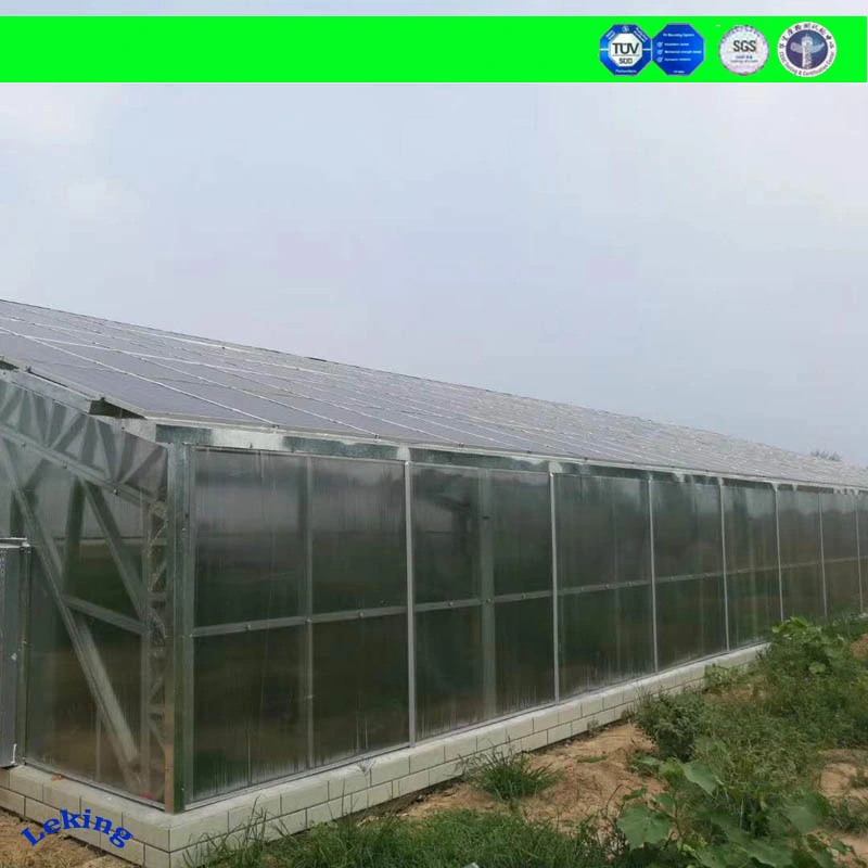 Polycarbonate Greenhouse Sheet/Polycarbonate Sheet Greenhouse/Polycarbonate Hollow Sheet Greenhouse Manufacturer