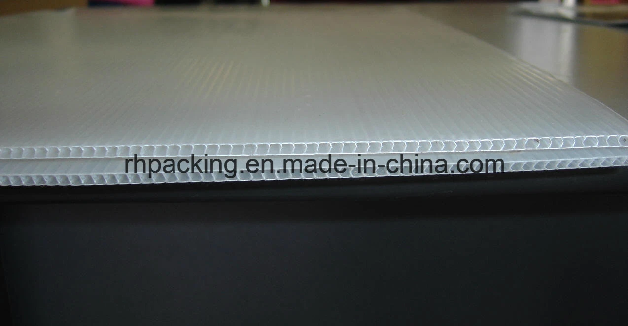 White and Black Corrugated PP Sheet/Flute Sheet/Corrugated Plastic Sheet Manufacturer for Protection and Signage