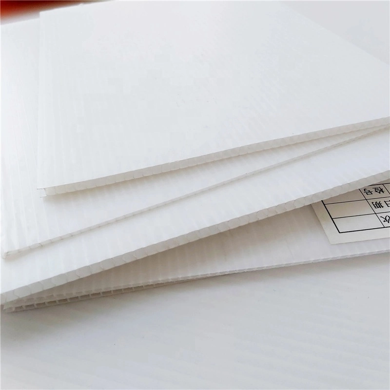 PP Corrugated Plastic Sheet Corflute PP Sheet Factory Supplier