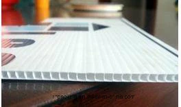 Smiple Printed UV Stabilized Plastic/Corona Treated PP Corrugated Plastic/Correx/Coroplast/Correx