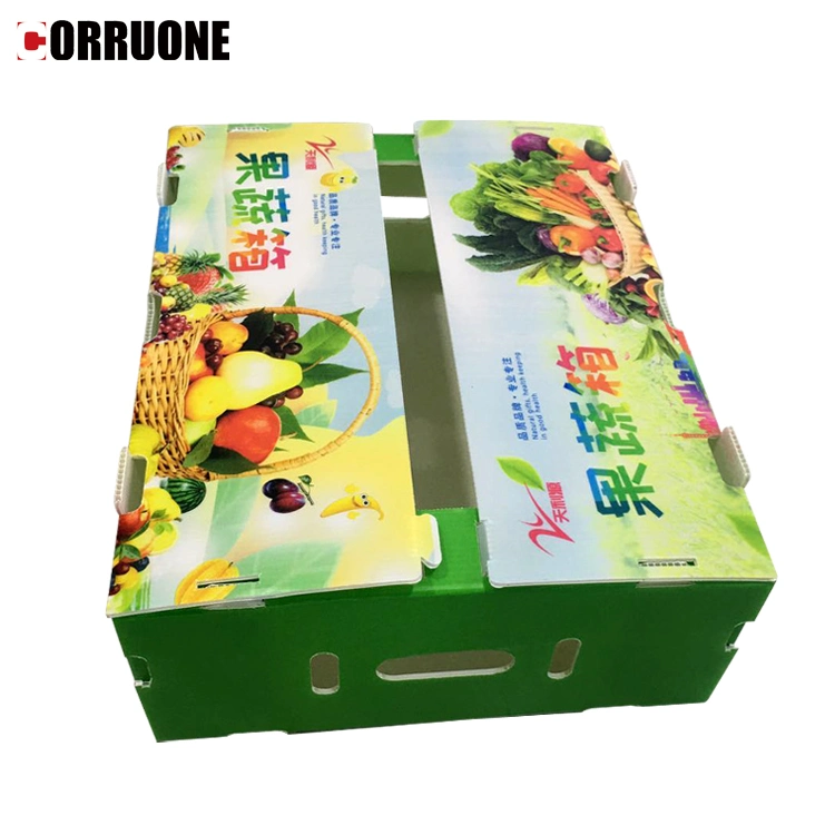 Custom Foldable PP Corflute Plastic Corrugated Box Packaging Corrugated