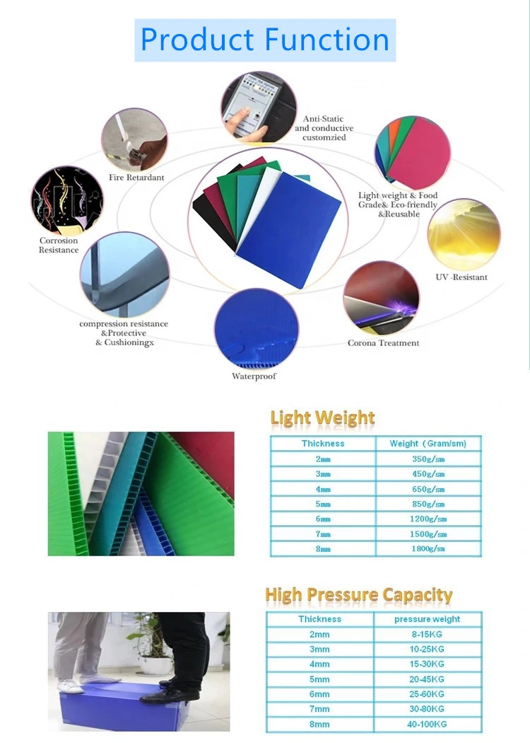 Factory Direct Polypropylene Correx Hollow Corrugated Plastic Display PP Sheet