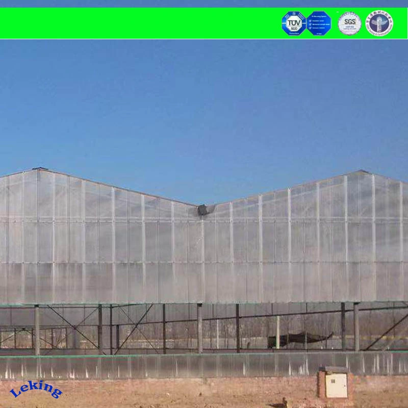 Polycarbonate Greenhouse Sheet/Polycarbonate Sheet Greenhouse/Polycarbonate Hollow Sheet Greenhouse Manufacturer