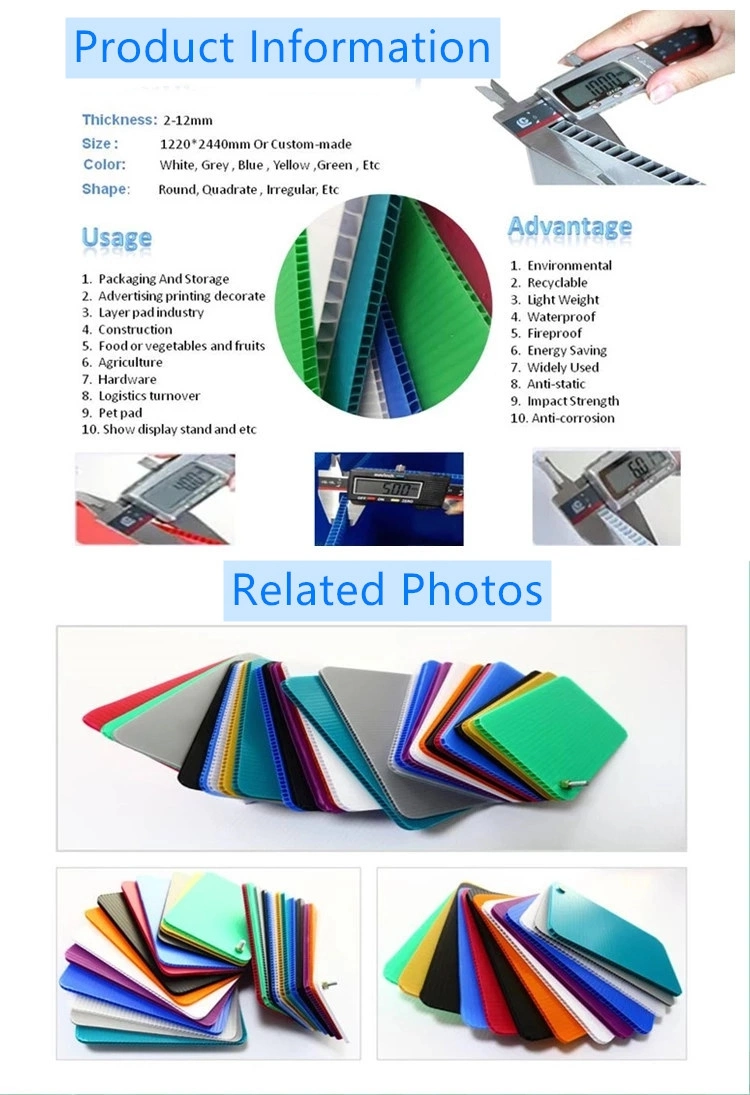 Factory Direct Polypropylene Correx Hollow Corrugated Plastic Display PP Sheet