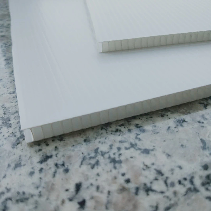 2-12mm Coroplast Sheets PP Hollow Sheet Philippines Supplier
