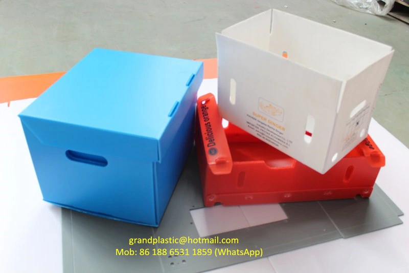 PP plastic sheet corrugated sheet for plastic packaging box