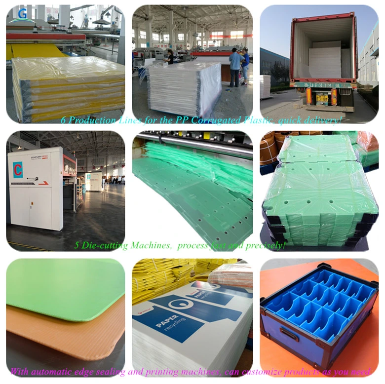 PP Plastic Sheets Corrugated Sheet for Plastic Packaging Box