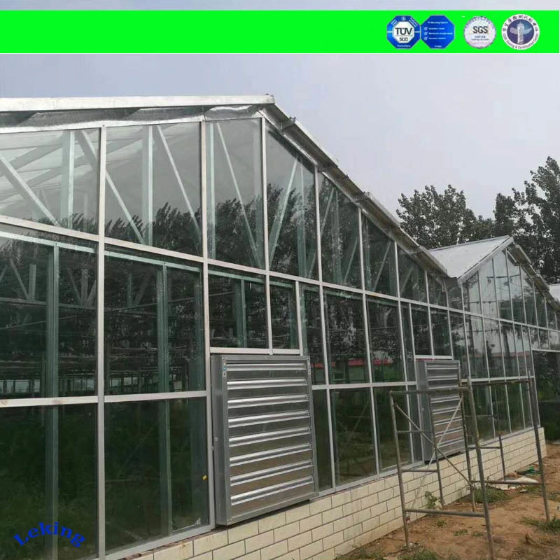 Polycarbonate Greenhouse Sheet/Polycarbonate Sheet Greenhouse/Polycarbonate Hollow Sheet Greenhouse Manufacturer