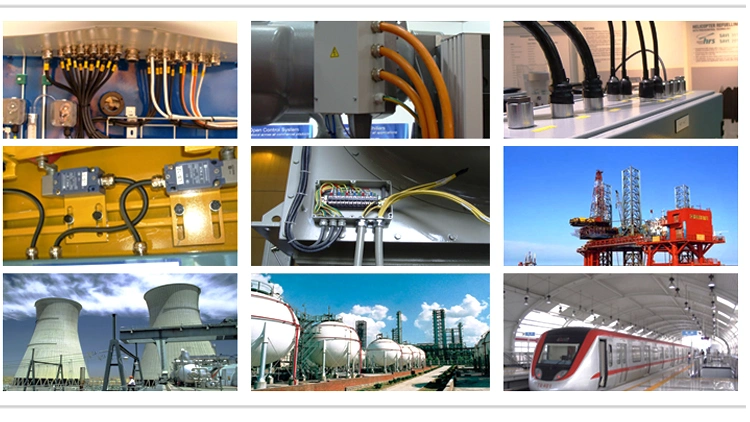 1/4 Size PA 12 Pipe Nylon Corrugated Pipe