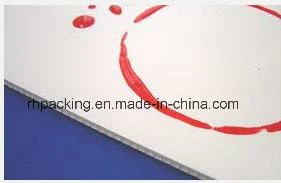Environmentally friendly polypropylene PP double wall corrugated plastic sheet / Correx Coroplast Corflute sheet with printing