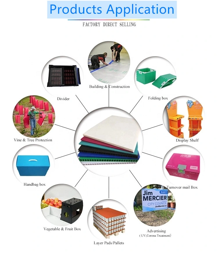 Factory Direct Polypropylene Correx Hollow Corrugated Plastic Display PP Sheet