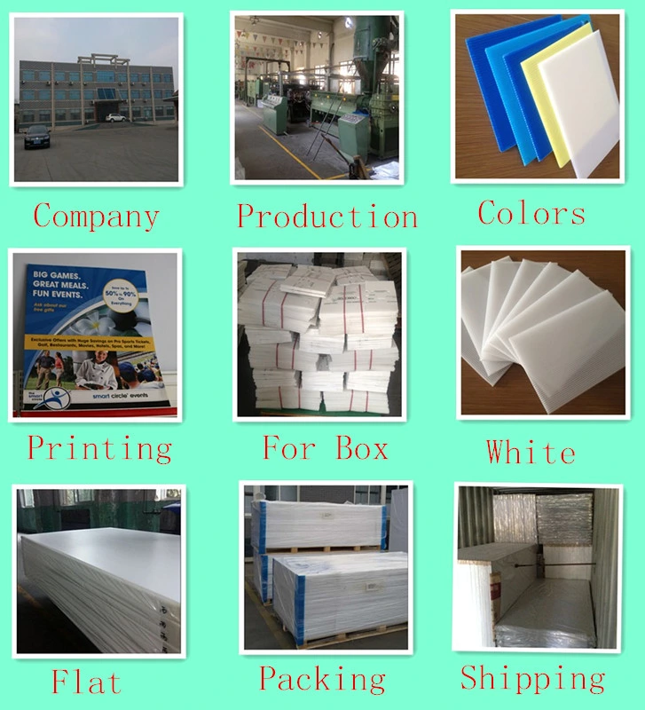 Floor Protection PP Plastic Hollow Corrugated Plastic Sheet 1220*2440mm